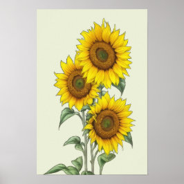 Póster de girasol en acuarela