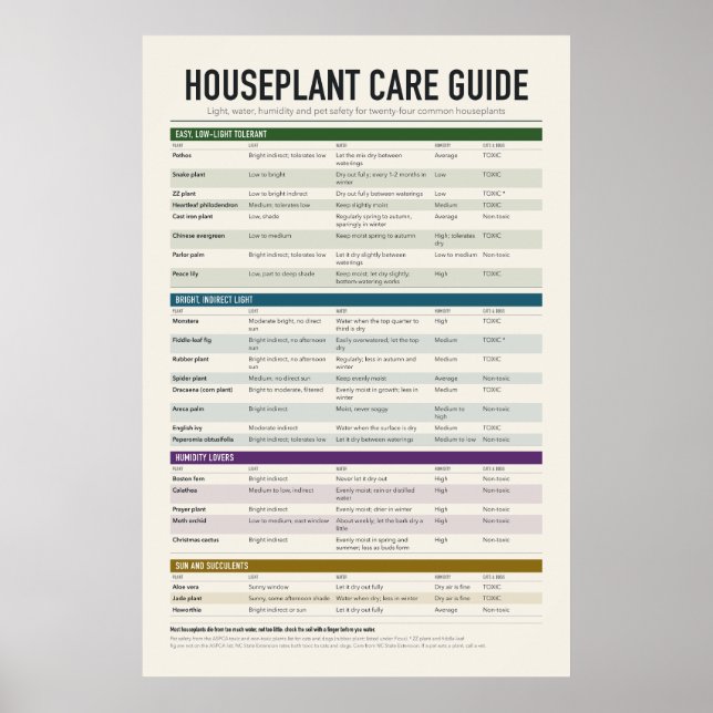 Póster de guía de cuidado de plantas de interior (Frente)