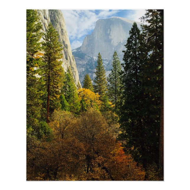 Póster de Half Dome en Otoño (Parque Nacional Yose (Anverso)