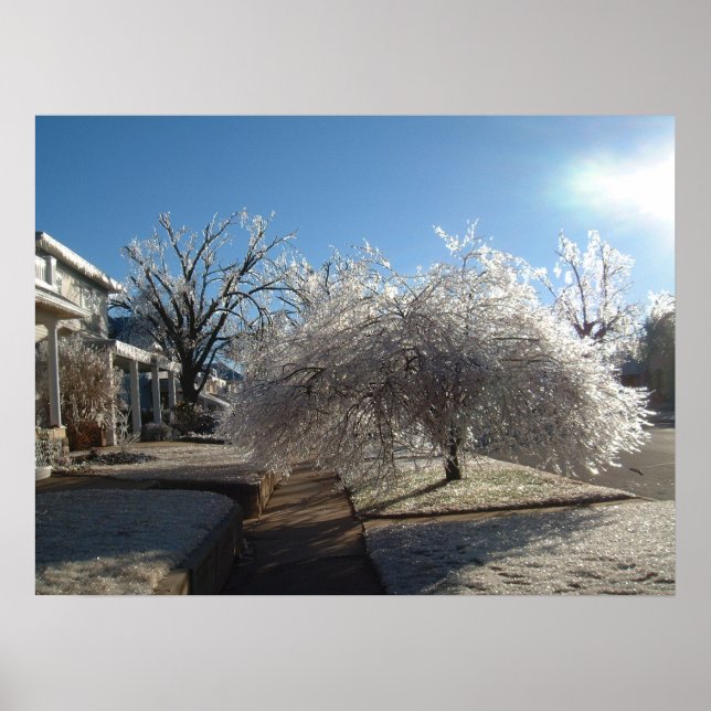 Póster de Hielo de Invierno (Frente)