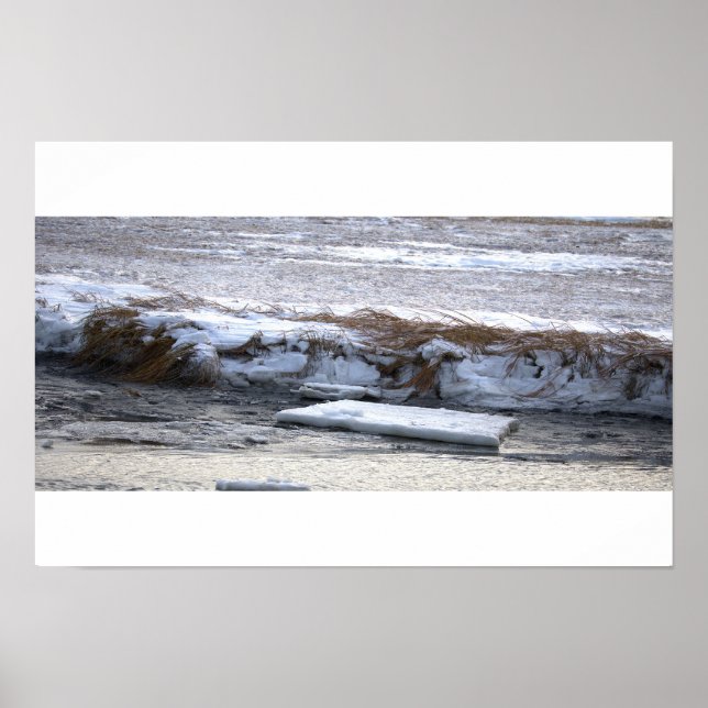 Póster de hielo flotando en agua (Frente)