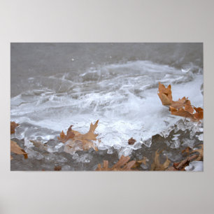 Póster de Hojas Atascadas en Hielo