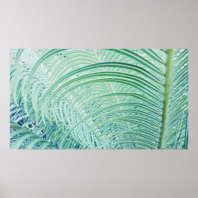Póster de Hojas de Palma de Planta Verde Suave con (Frente)