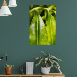 Póster de Hojas Verdes al Estilo Pintura
