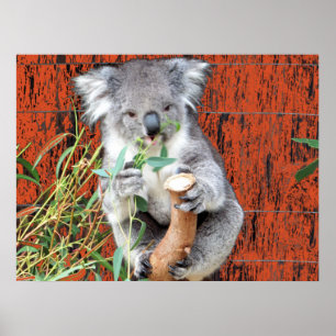 Póster de Hora de Snack de Koala
