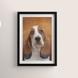 Poster de Hound Basset