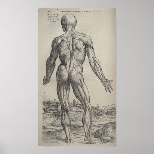 Póster De Humani Corporis