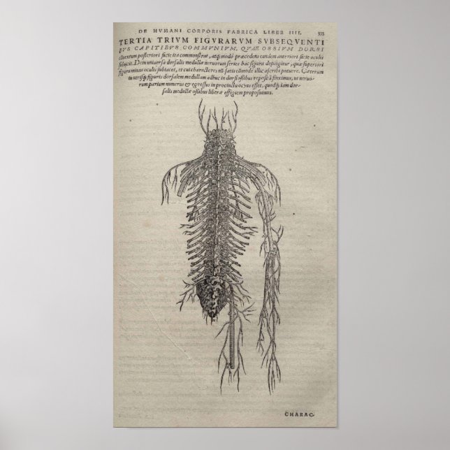 Póster De Humani Corporis (Frente)