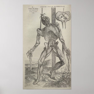 Póster De Humani Corporis