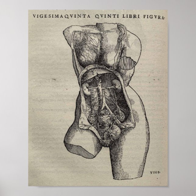Póster De Humani Corporis (Frente)