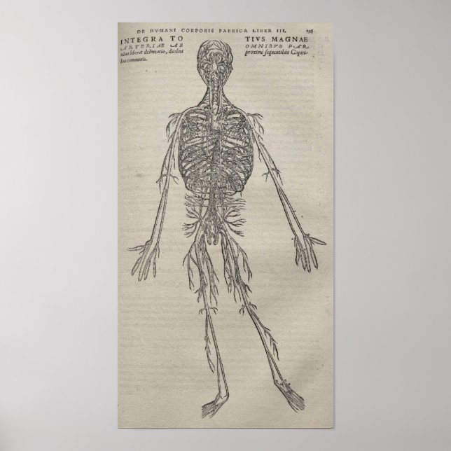 Póster De Humani Corporis (Frente)