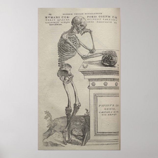 Póster De Humani Corporis (Frente)