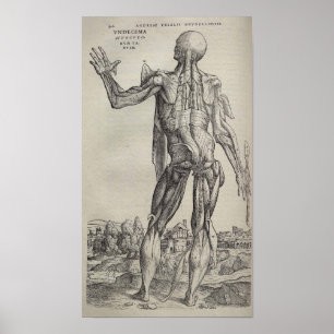 Póster De Humani Corporis