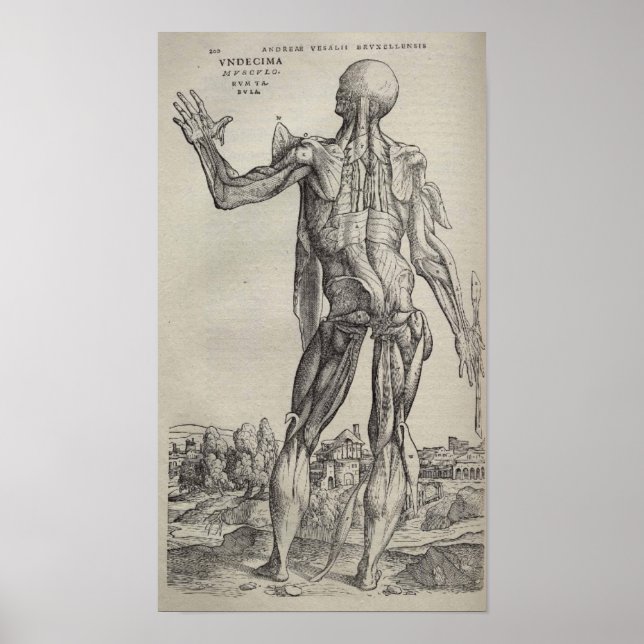 Póster De Humani Corporis (Frente)
