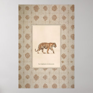 Póster de ilustración de animal de tigre Arte de t