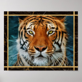 Póster de imagen fotográfica de cara de tigre con