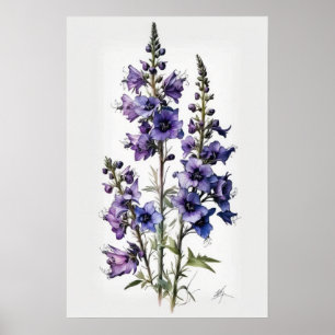 Póster de Impresión Artística de Flor de Alhelí Pú