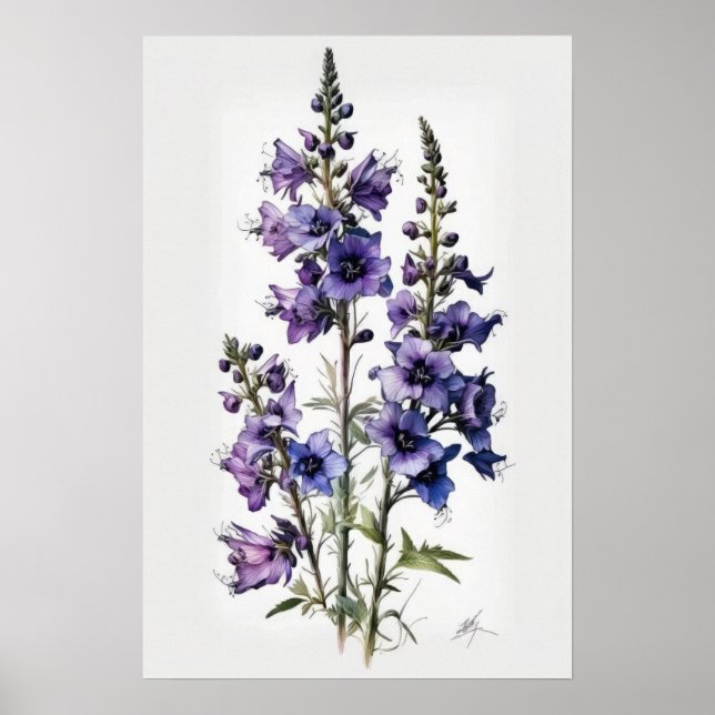 Póster de Impresión Artística de Flor de Alhelí Pú (Frente)