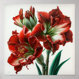 Póster de Impresión Artística de Flor de Amarilis