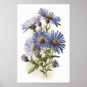 Póster de Impresión Artística de Flor de Aster Azu