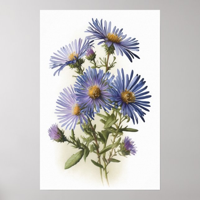 Póster de Impresión Artística de Flor de Aster Azu (Frente)