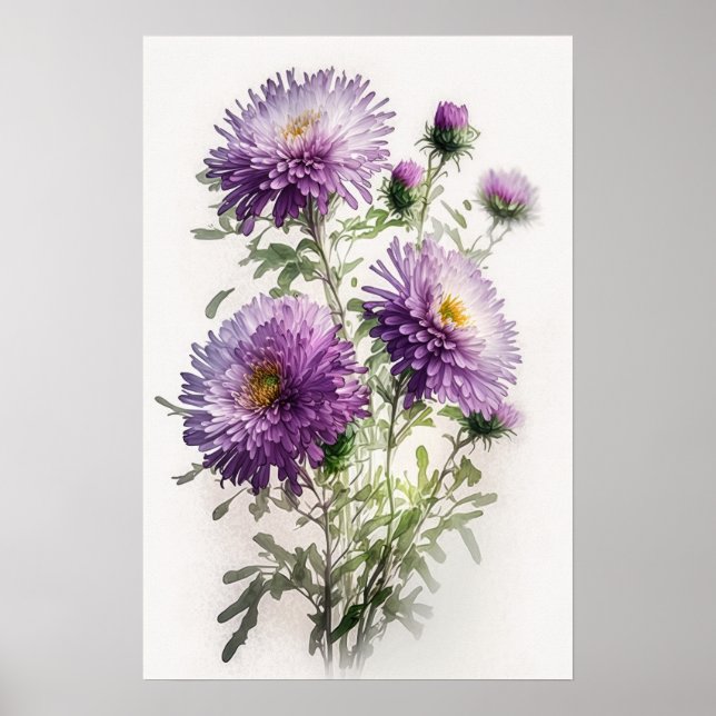 Póster de Impresión Artística de Flor de Aster Púr (Frente)