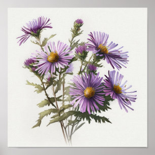 Póster de Impresión Artística de Flor de Aster Púr