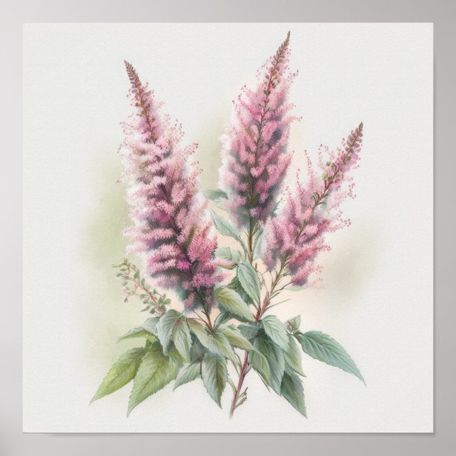 Póster de Impresión Artística de Flor de Astilbe R (Frente)