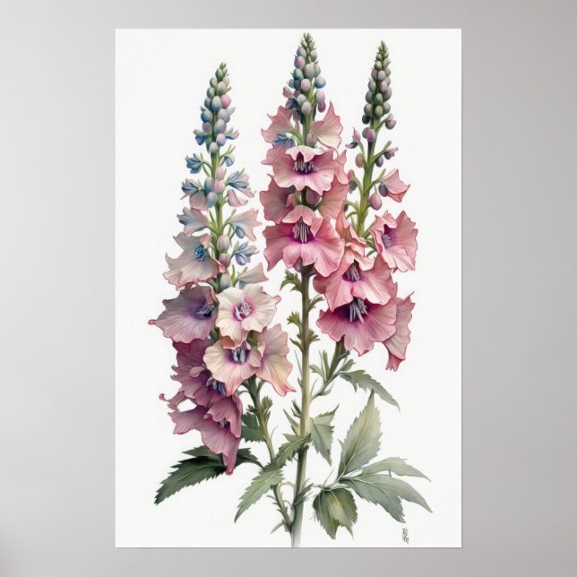 Póster de Impresión Artística de Flor de Delphiniu (Frente)
