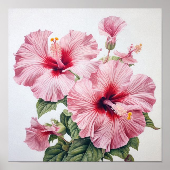 Póster de impresión artística de flor de hibisco r (Frente)