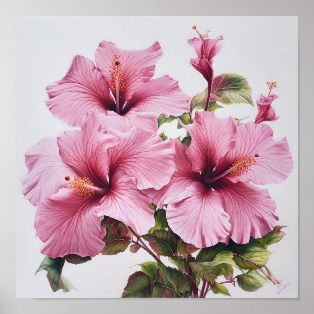 Póster de Impresión Artística de Flor de Hibisco R (Frente)