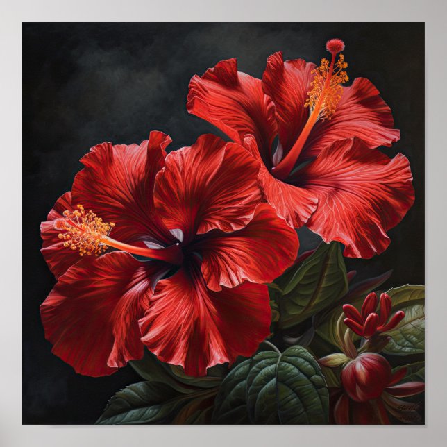 Póster de Impresión Artística de Flor de Hibisco R (Frente)