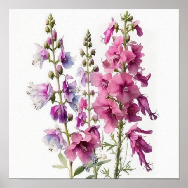 Póster de impresión artística de flor de Larkspur  (Frente)