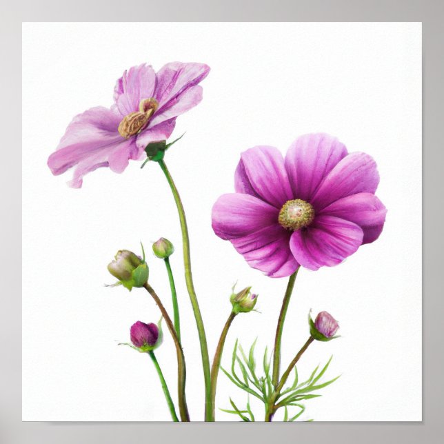 Póster de Impresión Artística de Flores Cosmos Mor (Frente)