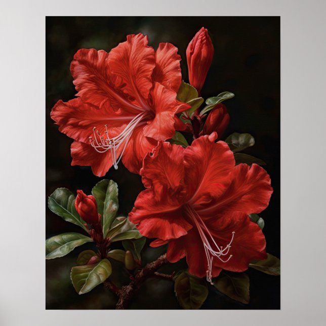 Póster de Impresión Artística de Flores de Azalea  (Frente)