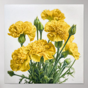 Póster de impresión artística de flores de clavel 
