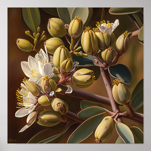 Póster de impresión artística de flores de jojoba  (Frente)