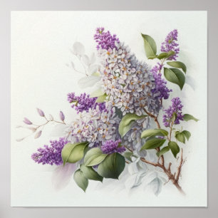 Póster de Impresión Artística de Flores de Lila