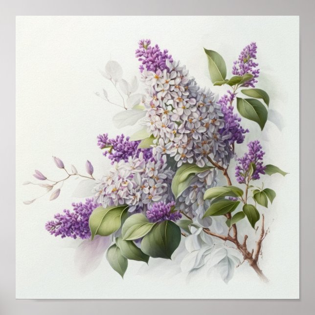 Póster de Impresión Artística de Flores de Lila (Frente)