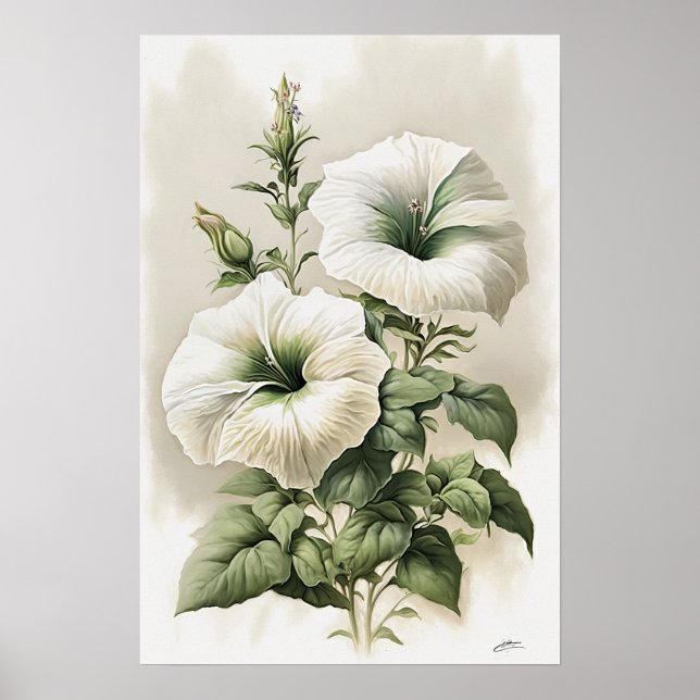 Póster de impresión artística de petunias blancas (Frente)