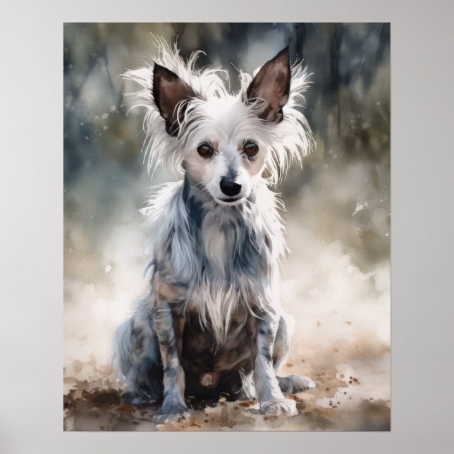 Póster de impresión artística del perro crestado c (Frente)