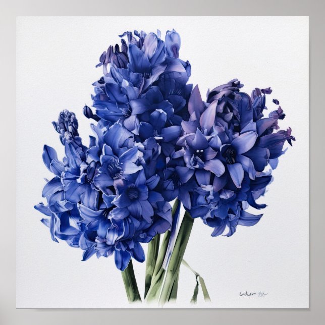 Poster de impresión Blue Hyacinin Flower Art (Frente)