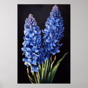 Poster de impresión Blue Hyacinin Flower Art