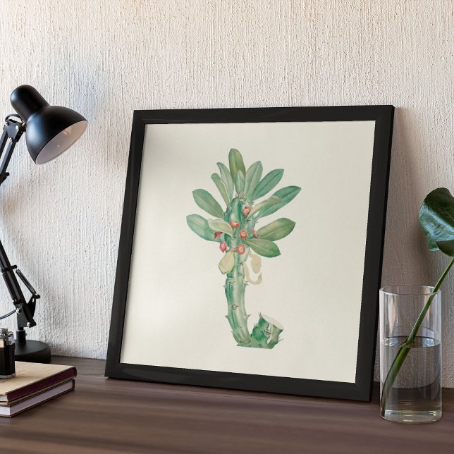 Poster de impresión botánica de color de agua (Watercolor Antique Botanical Cactus Print Poster)