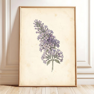 Póster de impresión botánica de mariposa vintage