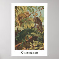 Poster de impresión Chameleon Vintage