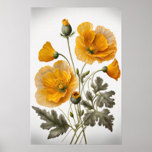 Poster de impresión de arte con flores de amapola