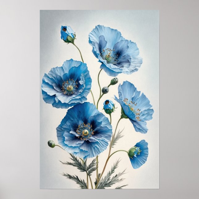 Poster de impresión de arte con flores de amapola  (Frente)