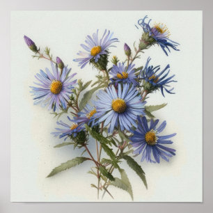Poster de impresión de arte con flores de aster az