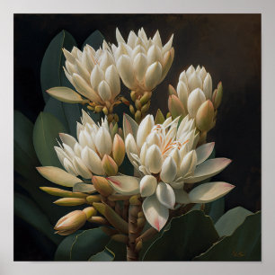 Poster de impresión de arte con flores de curcuma